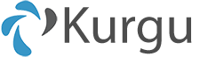 Kurgu Elektronik